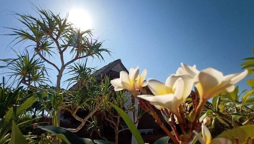 بنسيون Loedi Bungalows Rote