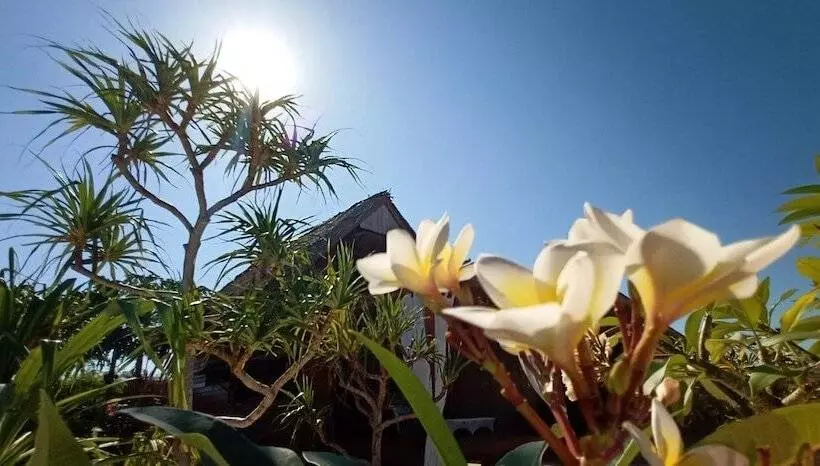 Majatalo Loedi Bungalows Rote