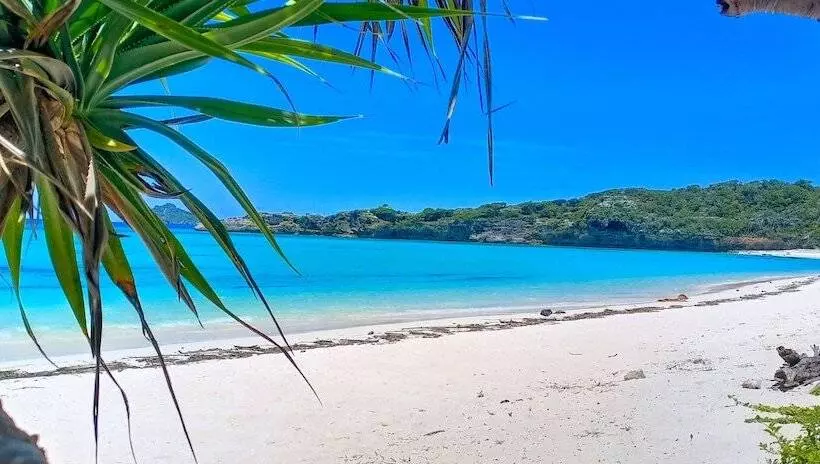 Majatalo Loedi Bungalows Rote