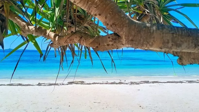 Majatalo Loedi Bungalows Rote