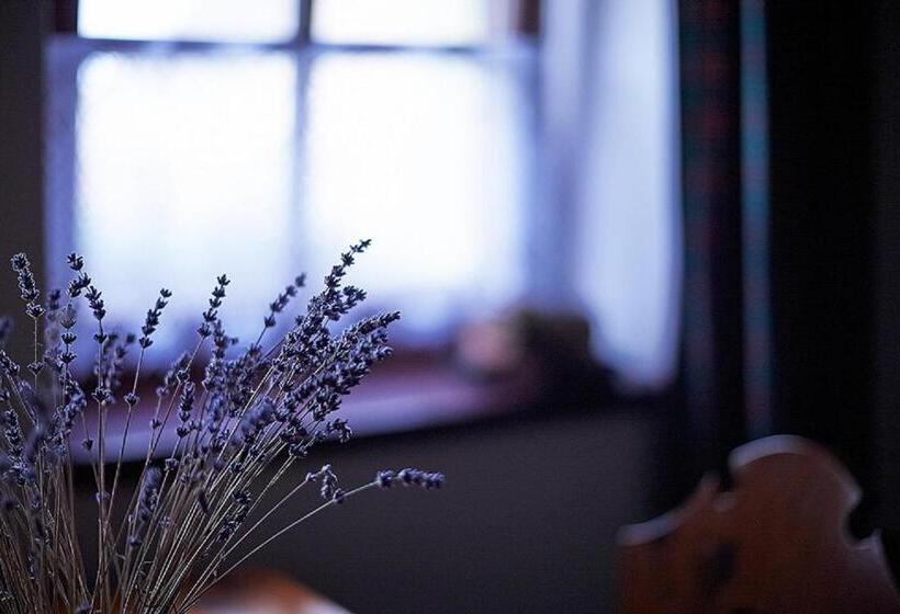 بنسيون Penzion Primášé