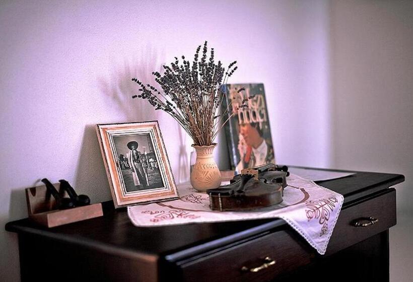 بنسيون Penzion Primášé