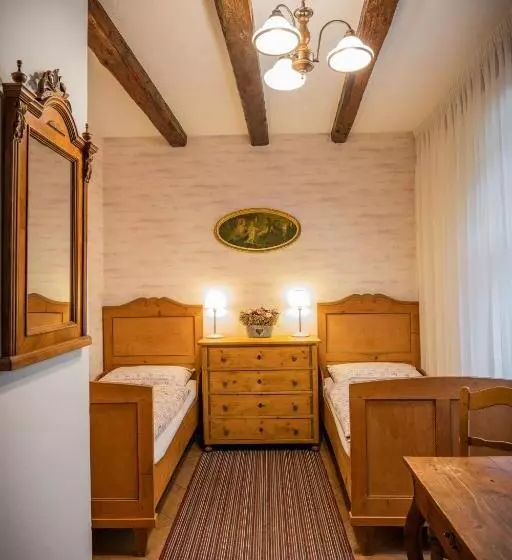 ペンション Penzion Primášé