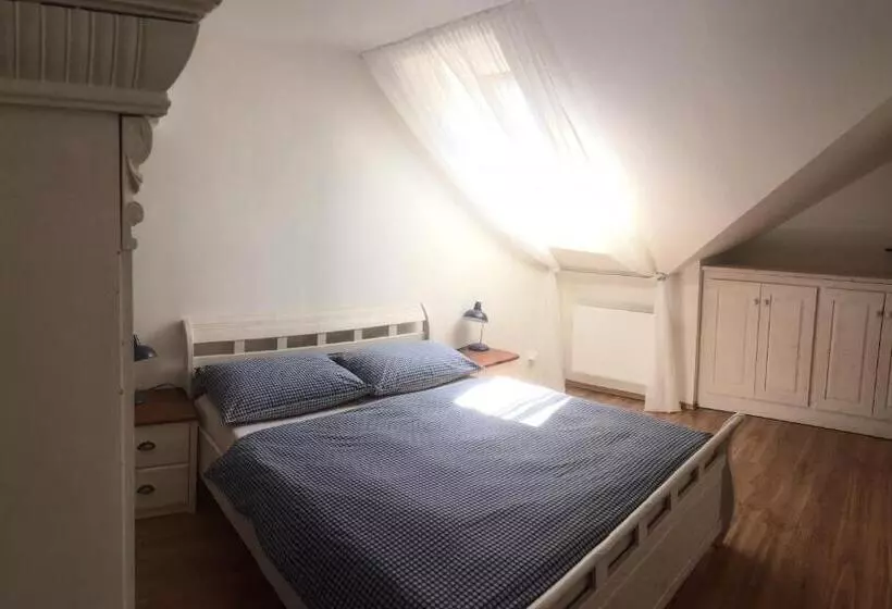 ペンション Penzion Primášé