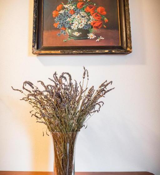 بنسيون Penzion Primášé