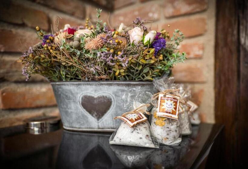 بنسيون Penzion Primášé