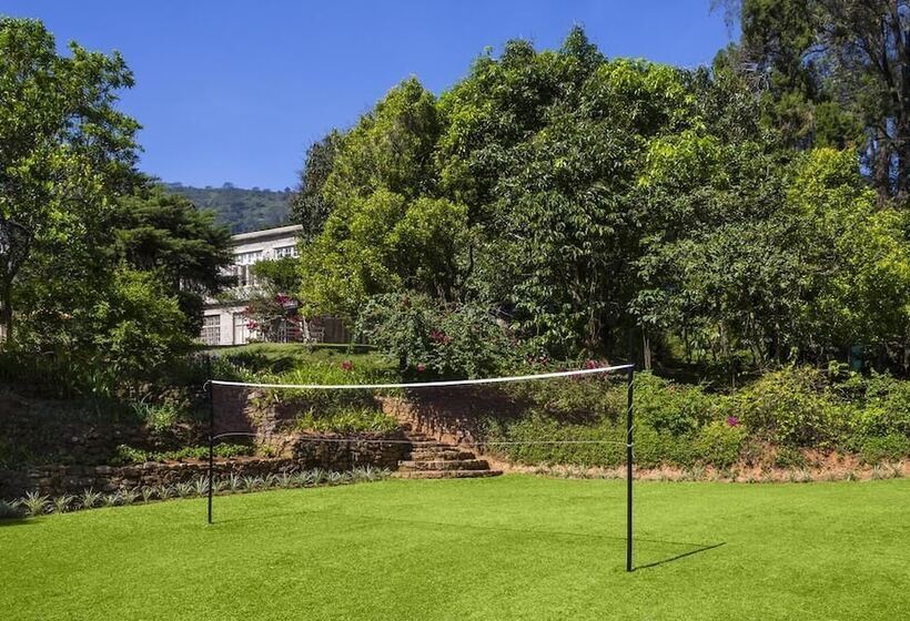 Pension Taylors Hill