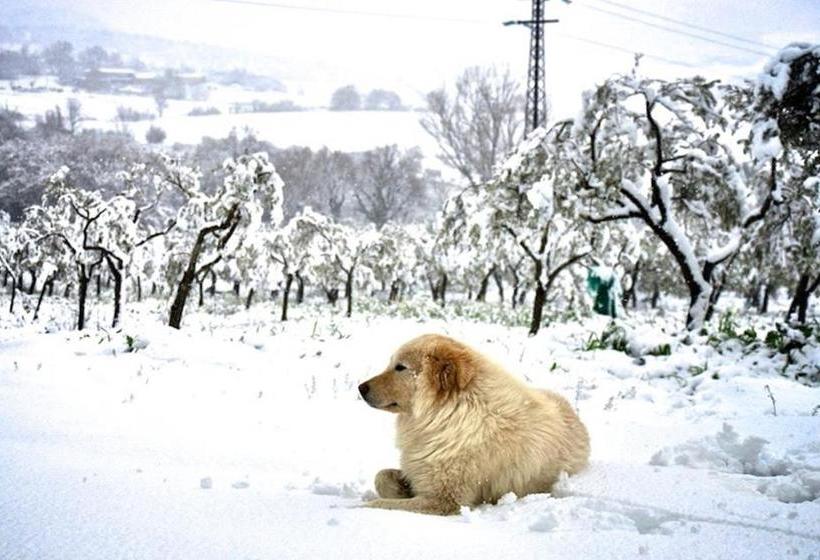 Tenuta Mandia Agriturismo La Tavernola