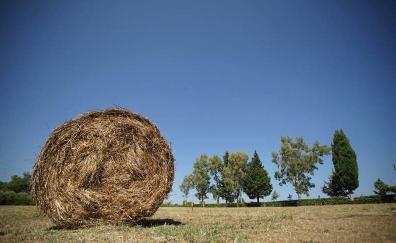 Tenuta Mandia Agriturismo La Tavernola