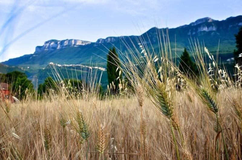 Tenuta Mandia Agriturismo La Tavernola