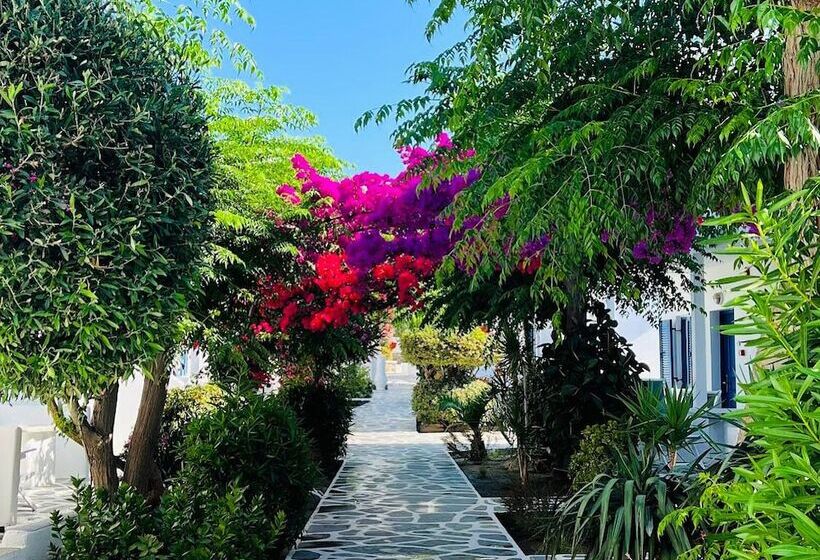 Acrogiali Beachfront Hotel Mykonos