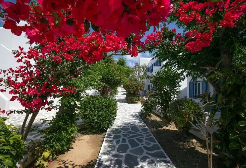 Acrogiali Beachfront Hotel Mykonos