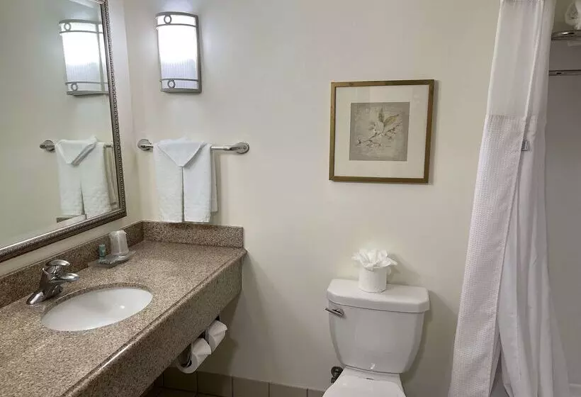 Отель Best Western Ontario Mills Mall