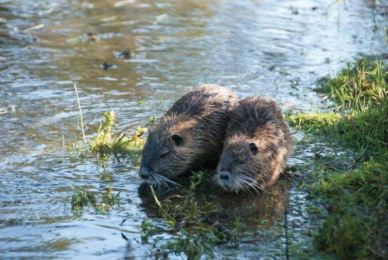 فندق Domaine Des Etangs, Auberge Resorts Collection