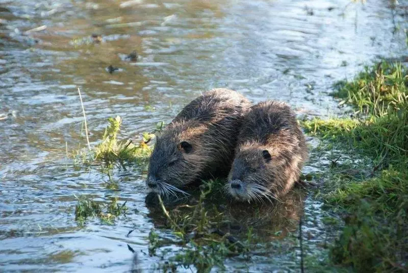 호텔 Domaine Des Etangs, Auberge Resorts Collection