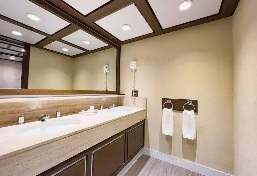 هتل Exe Alameda Reforma