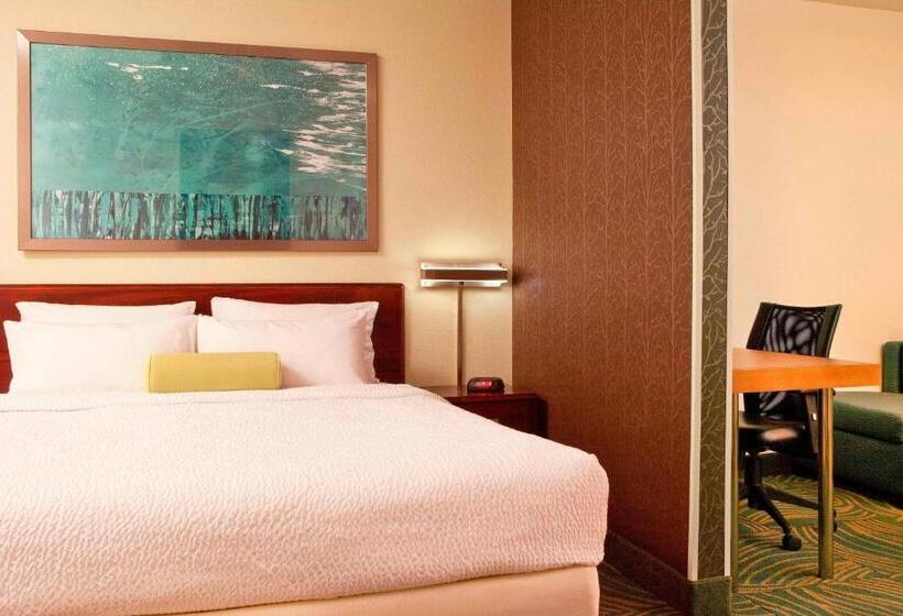 هتل Springhill Suites Boston Peabody