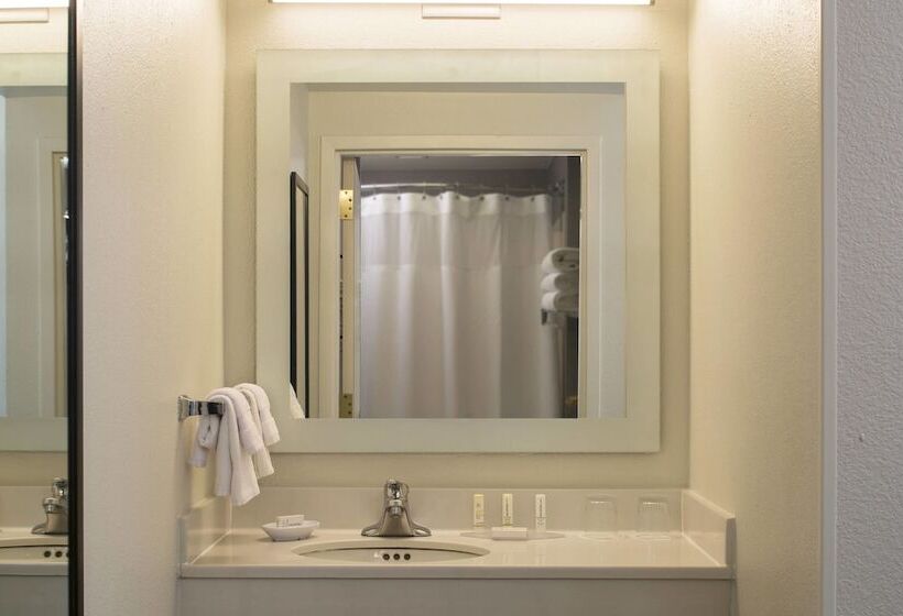 בית מלון כפרי Springhill Suites Chicago Lincolnshire