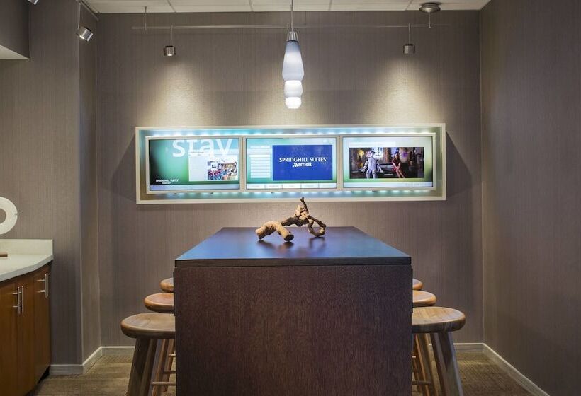 בית מלון כפרי Springhill Suites Chicago Lincolnshire