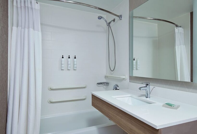 בית מלון כפרי Springhill Suites Detroit Southfield