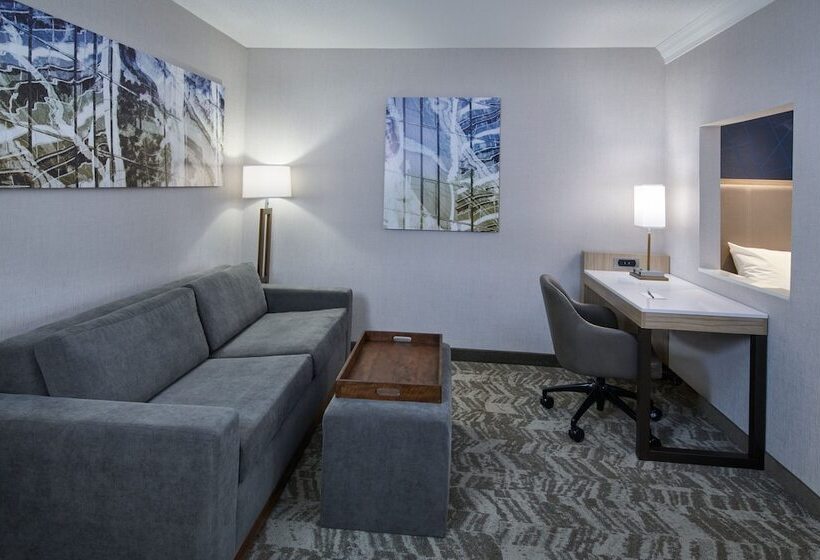 בית מלון כפרי Springhill Suites Detroit Southfield