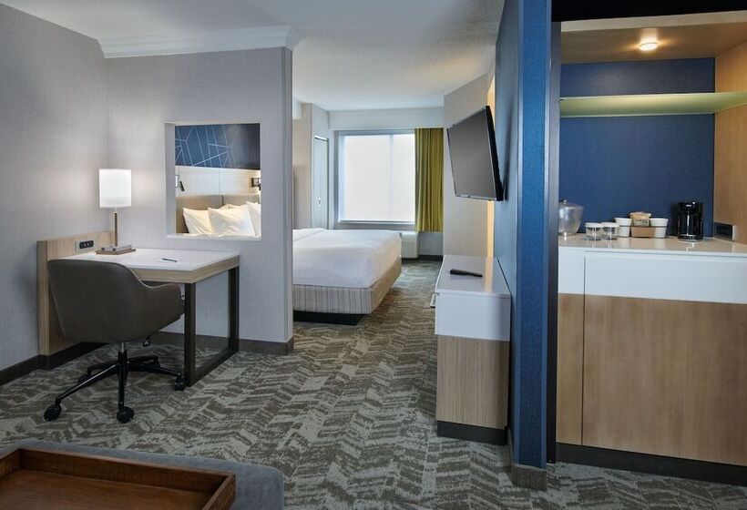 בית מלון כפרי Springhill Suites Detroit Southfield