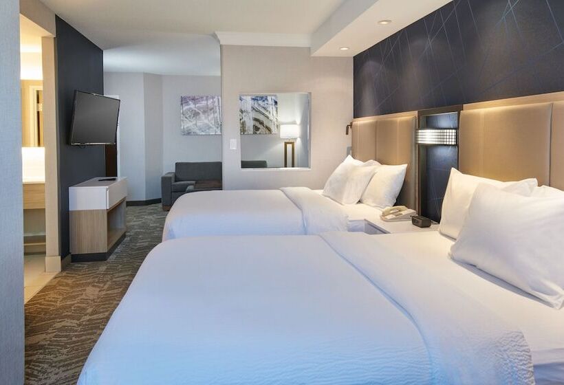 בית מלון כפרי Springhill Suites Detroit Southfield