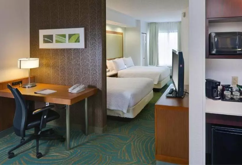 호텔 Springhill Suites By Marriott Lansing