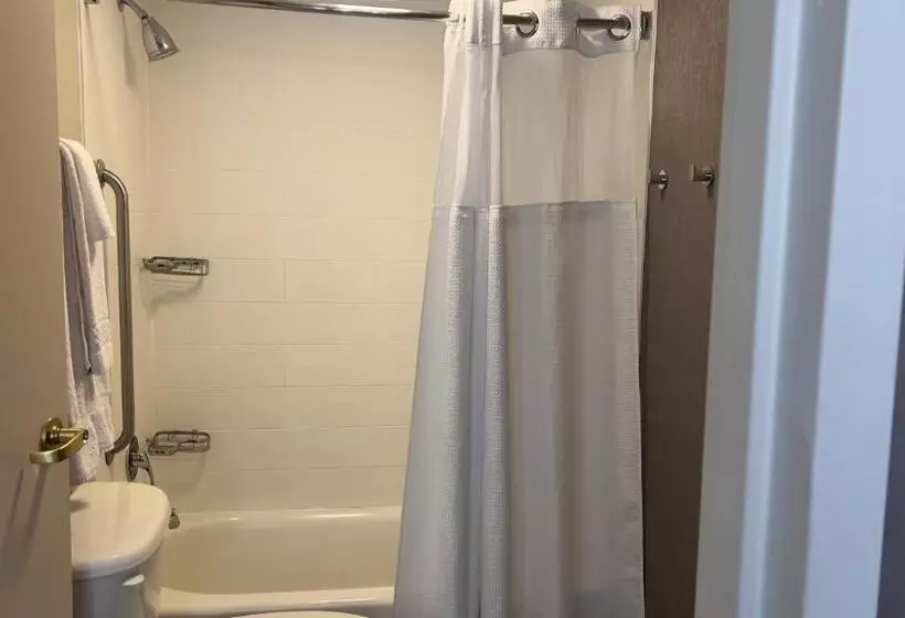 호텔 Springhill Suites By Marriott Lansing