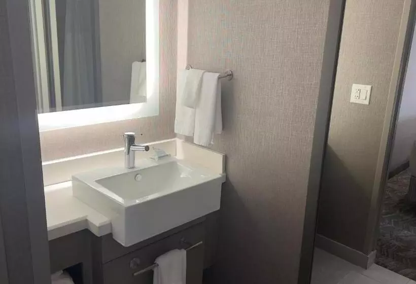 호텔 Springhill Suites By Marriott Lansing