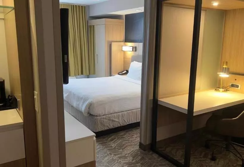 호텔 Springhill Suites By Marriott Lansing