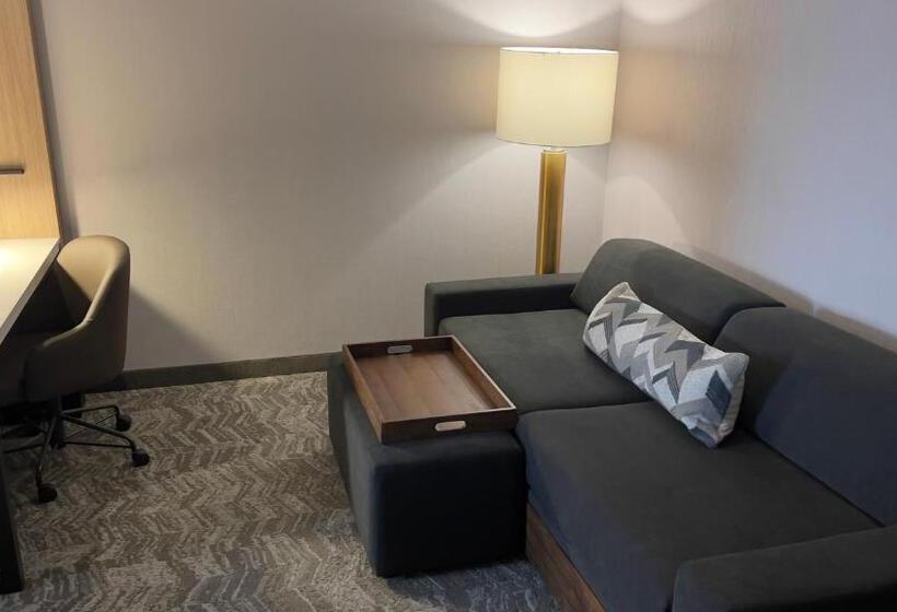 Otel Springhill Suites By Marriott Lansing