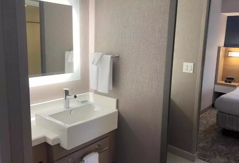 호텔 Springhill Suites By Marriott Lansing