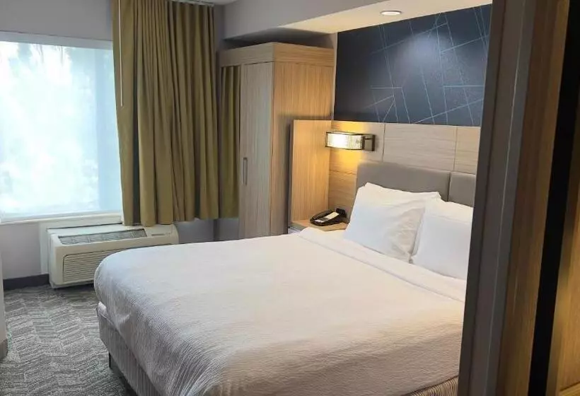 호텔 Springhill Suites By Marriott Lansing