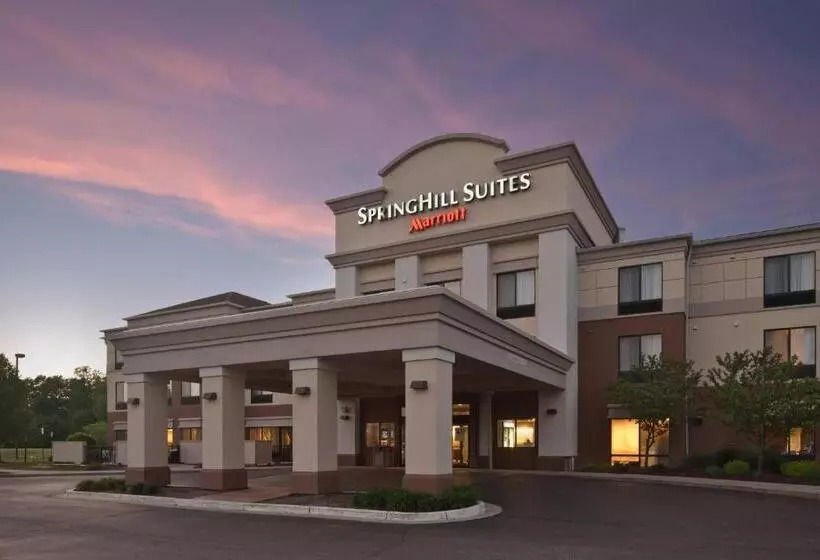 호텔 Springhill Suites By Marriott Lansing
