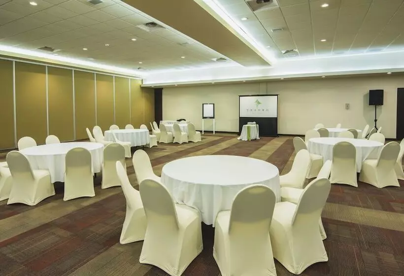 호텔 Tesoro Los Cabos