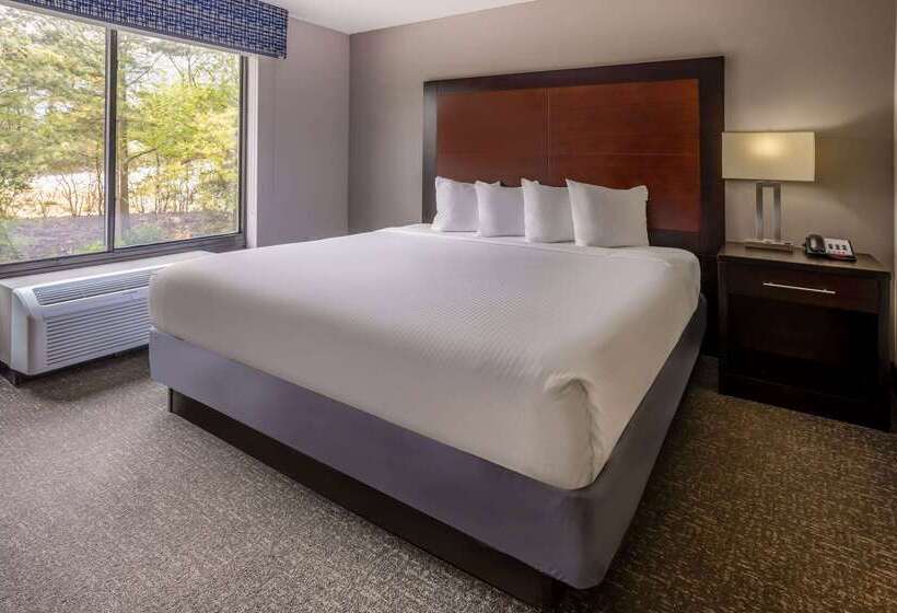 فندق Wingate By Wyndham Atlanta Galleria/ Ballpark