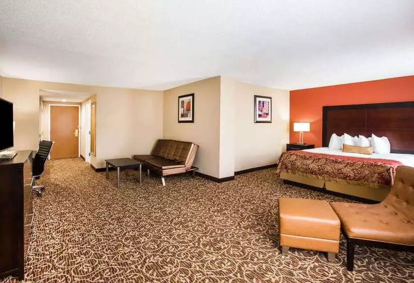 Отель Wingate By Wyndham Atlanta Galleria/ Ballpark