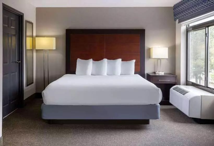Отель Wingate By Wyndham Atlanta Galleria/ Ballpark