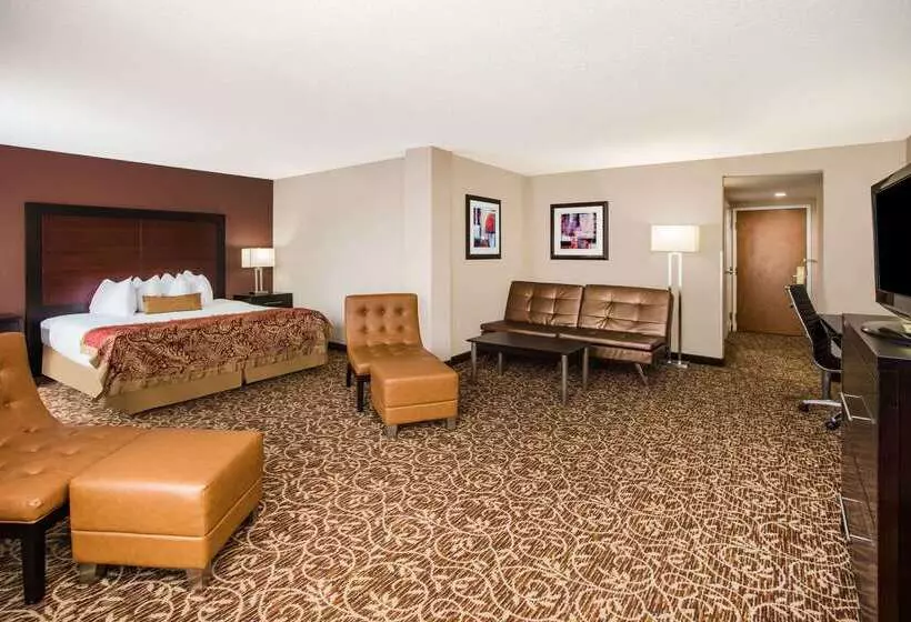 ホテル Wingate By Wyndham Atlanta Galleria/ Ballpark