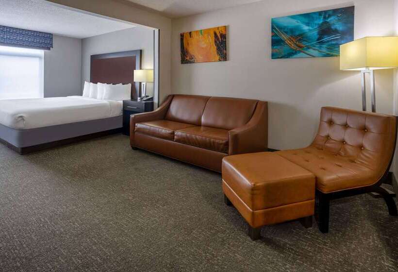 فندق Wingate By Wyndham Atlanta Galleria/ Ballpark