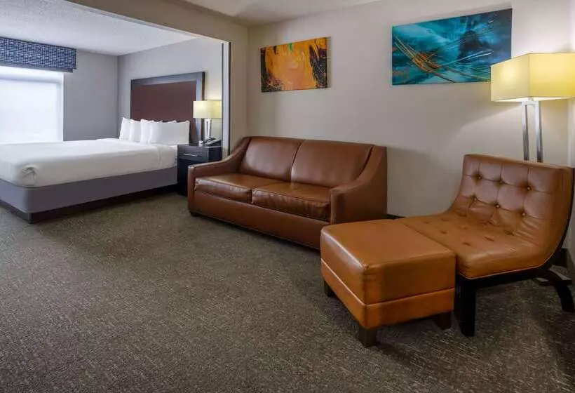 Отель Wingate By Wyndham Atlanta Galleria/ Ballpark