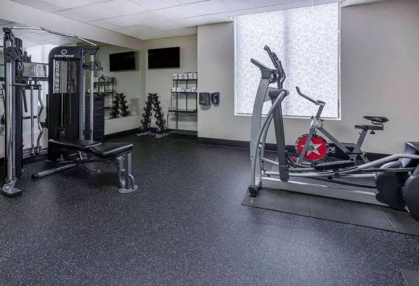 Отель Wingate By Wyndham Atlanta Galleria/ Ballpark