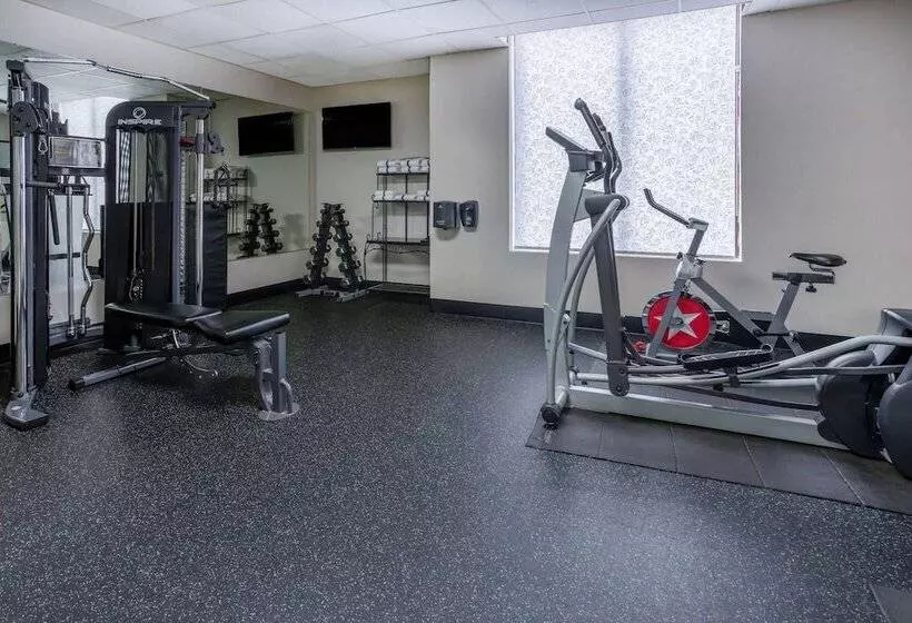 Отель Wingate By Wyndham Atlanta Galleria/ Ballpark