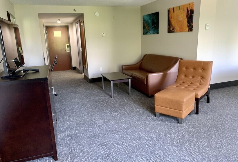 فندق Wingate By Wyndham Atlanta Galleria/ Ballpark