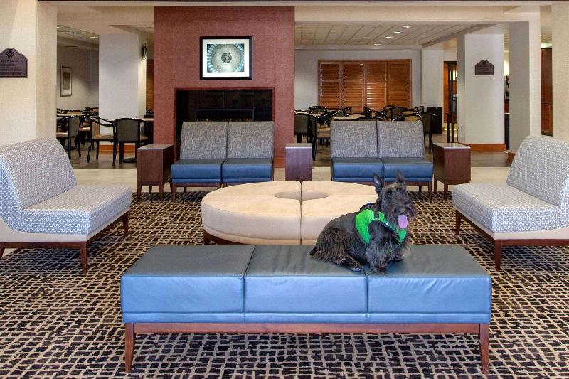 فندق Wingate By Wyndham Dulles International