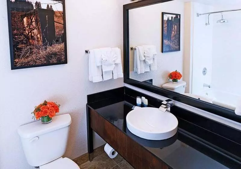 Отель Buffalo Bills Resort & Casino