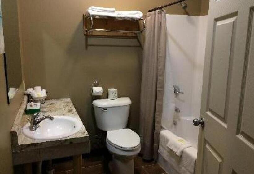 ユースホステル Big Horse Inn And Suites