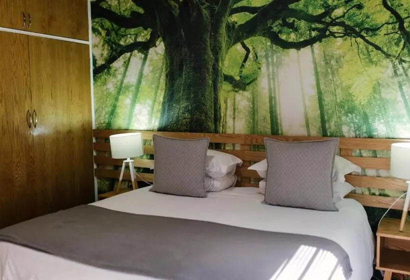 Aamiaismajoitus (B&B) Agapé Boutique Guesthouse Bothaville