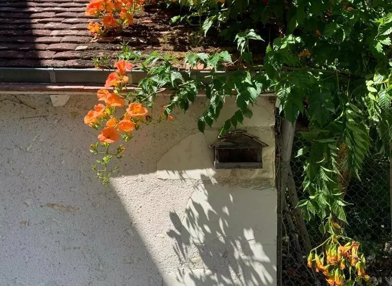 Aamiaismajoitus (B&B) Maison Clairbois